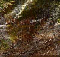 The West Coast Wilderness Way - South Australia Travel