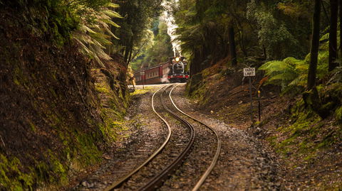 The West Coast Wilderness Way - South Australia Travel 0