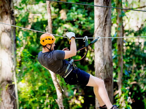 TreeTop Challenge Currumbin Wildlife Sanctuary - South Australia Travel 0
