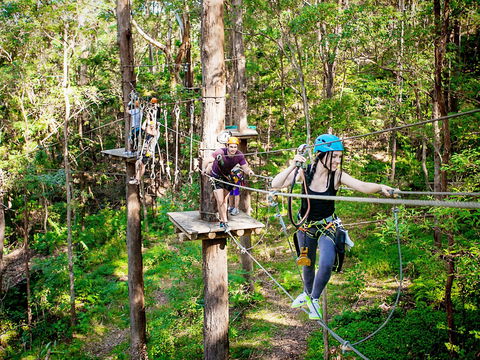 TreeTop Challenge Currumbin Wildlife Sanctuary - South Australia Travel 1