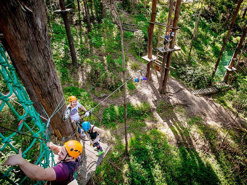 TreeTop Challenge Currumbin Wildlife Sanctuary - South Australia Travel 2