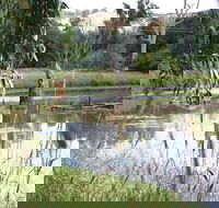 Tumut Wetlands - South Australia Travel