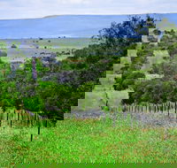 Wild Dog Barrier Fence - South Australia Travel