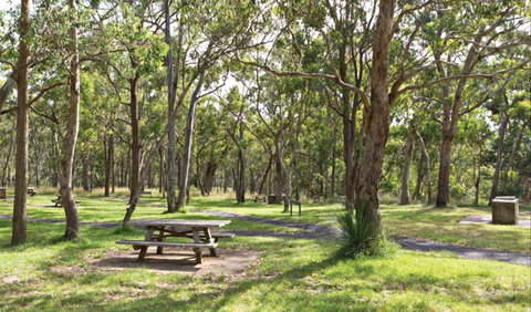 Wollomombi Gorge And Falls Picnic Area - South Australia Travel 0