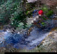 Small-Group Full-Day Canyoning and Abseiling Adventure from Katoomba - South Australia Travel