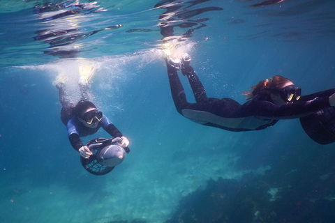 Small-Group Underwater Scooter Experience In Clovelly - South Australia Travel 0