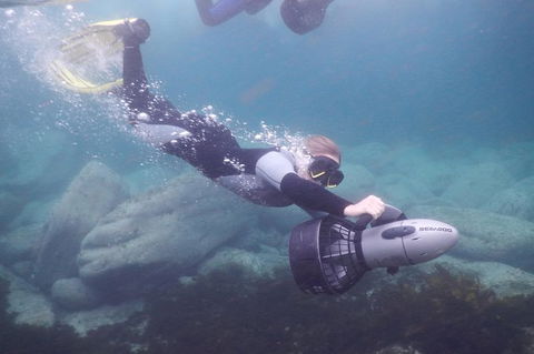 Small-Group Underwater Scooter Experience In Clovelly - South Australia Travel 7