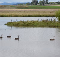 Beardy Waters Dam and Woodlands - South Australia Travel