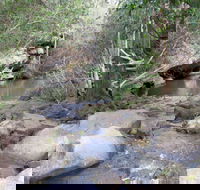 Bomaderry Creek Regional Park - South Australia Travel