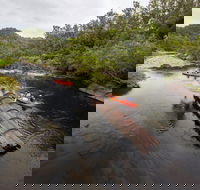 Boyd River - South Australia Travel