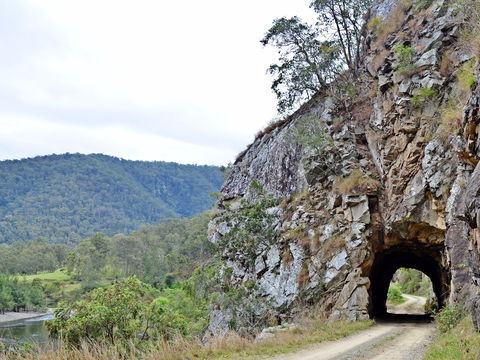 Boyd River - South Australia Travel 1