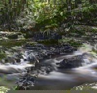 Protesters Falls Walking Track - South Australia Travel