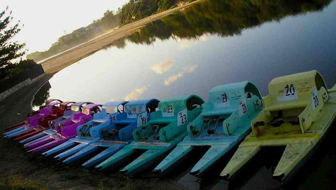 Terrigal Paddle Boats And Stand Up Paddle Boards - South Australia Travel 0