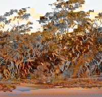 Yawura Yarun - South Australia Travel