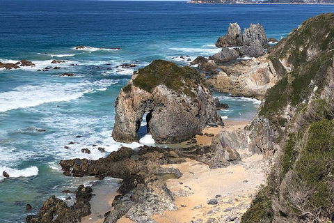 Narooma And Tilba Valley Private Tour - South Australia Travel 8