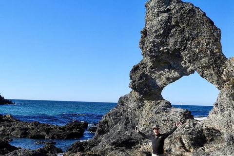 Narooma And Tilba Valley Private Tour - South Australia Travel 4