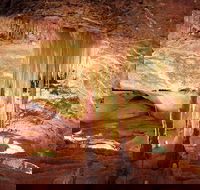 Jenolan Caves Ribbon Cave Tour - South Australia Travel