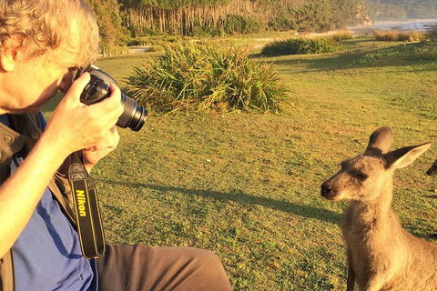 Highlights Of The Eurobodalla (half Day Private Tour) - South Australia Travel 2