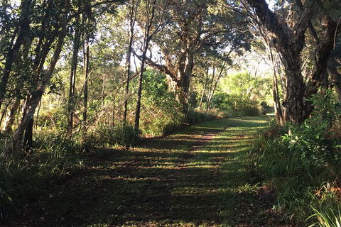 Coffs Harbour To Sawtell Bike Ride - South Australia Travel 7