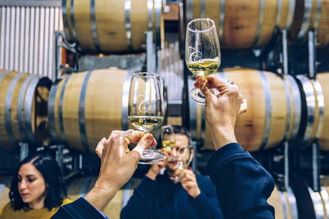 Taste Of The Highlands: Pinot Masterclass And Gourmet Lunch With Wine Pairings - South Australia Travel 8