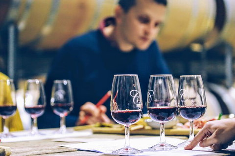 Taste Of The Highlands: Pinot Masterclass And Gourmet Lunch With Wine Pairings - South Australia Travel 2