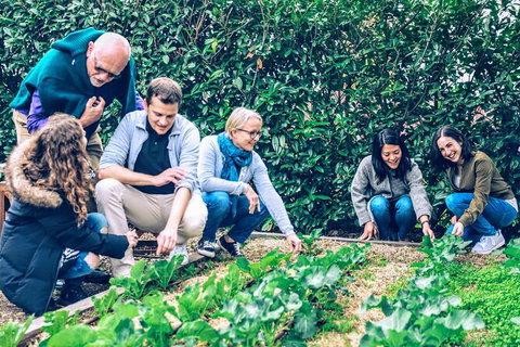 Taste Of The Highlands: Pinot Masterclass And Gourmet Lunch With Wine Pairings - South Australia Travel 10