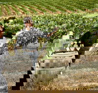 VIP Soil-To-Cellar Experience - South Australia Travel