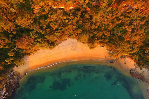 Single Kayak Hire - 4 Hours - South Australia Travel 1