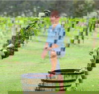 Hunter Valley Grape Stomping - South Australia Travel