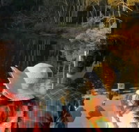 Sunset Eco Rainforest River Cruise - South Australia Travel