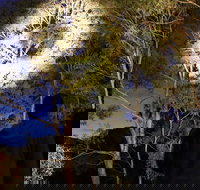 Wollemi Twilight Wildlife Tour - South Australia Travel