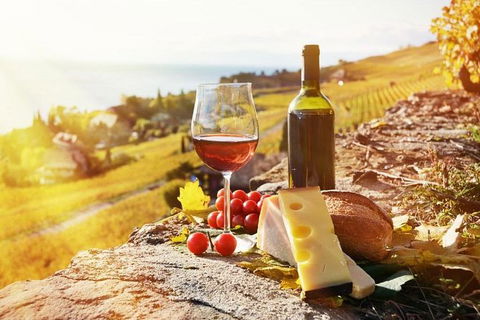 Six Hour - Plan Your Own Wine And Cheese Tour Hunter Valley - South Australia Travel 0