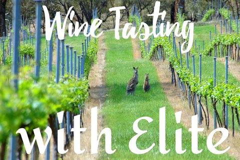 Six Hour - Plan Your Own Wine And Cheese Tour Hunter Valley - South Australia Travel 7