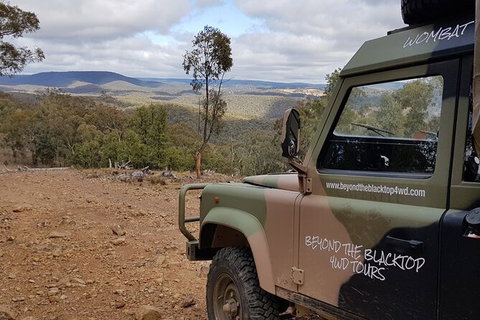 Ninety Minute Wombat Adventures Guided Tour - South Australia Travel 1