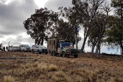 Ninety Minute Wombat Adventures Guided Tour - South Australia Travel 2