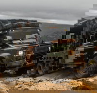 Ninety Minute Wombat Adventures Guided Tour - South Australia Travel