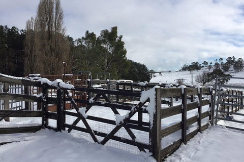 Paddock To Plate Farm Tour And Tasting - South Australia Travel 11