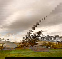 Paddock to Plate Farm Tour and Tasting - South Australia Travel