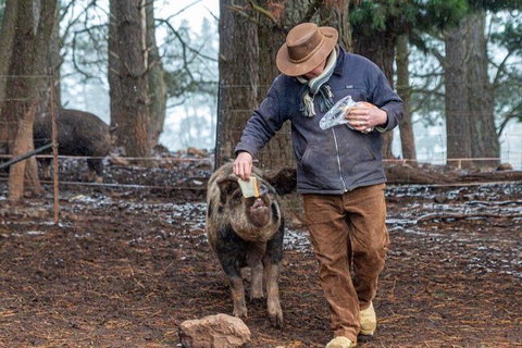 Paddock To Plate Farm Tour And Tasting - South Australia Travel 5