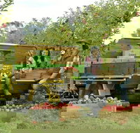 Blue Mountains Botanic Garden and Bilpin Tour from Katoomba with Cider Tasting - South Australia Travel