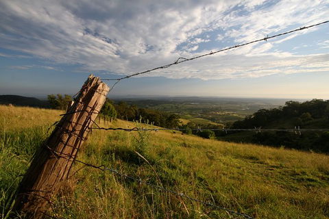 Private Full-Day Wine Tour In Hunter Valley - South Australia Travel 3