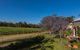 Hideaway Private Tours Hunter Valley - thumb 3