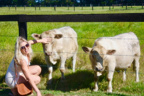 Hipster Sipster Brewery & Distillery Tour - Northern NSW - South Australia Travel 8