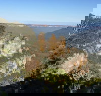 Blue Mountains Private Bus Tour From Sydney plus Featherdale Aussie Animal Park - South Australia Travel