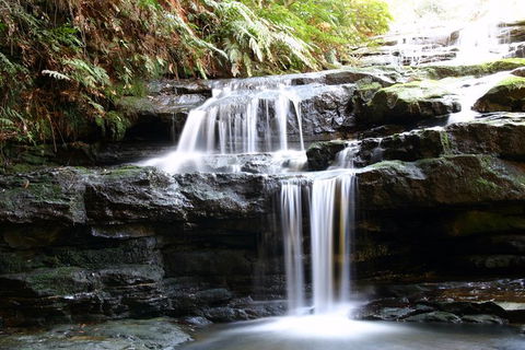 Private 10-hour Tour To Blue Mountains From Sydney - Hotel Pick Up & Drop Off - South Australia Travel 6