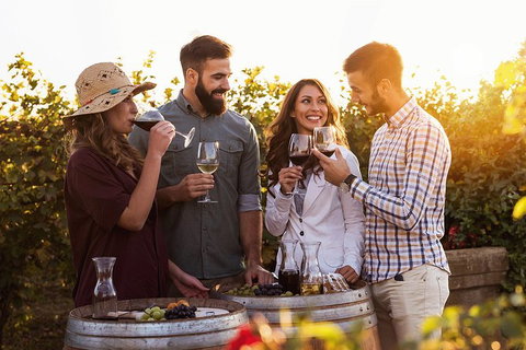 Hunter Valley Highlights Private Wine Tour From Sydney - South Australia Travel 0