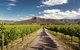 Hunter Valley Highlights Private Wine Tour From Sydney - thumb 2
