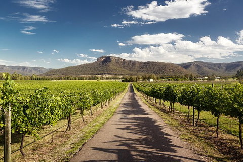 Hunter Valley Highlights Private Wine Tour From Sydney - South Australia Travel 2