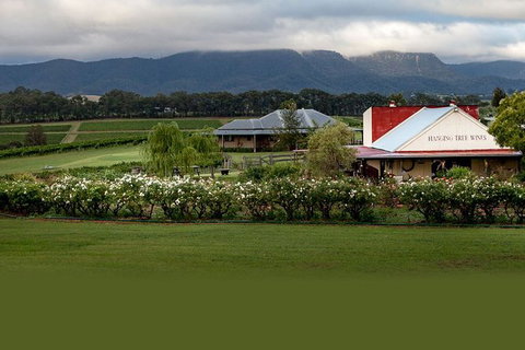 Hunter Valley Highlights Private Wine Tour From Sydney - South Australia Travel 5