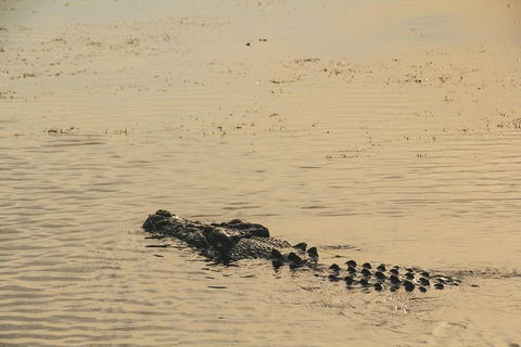 Yellow Water Cruise - Kakadu - South Australia Travel 5
